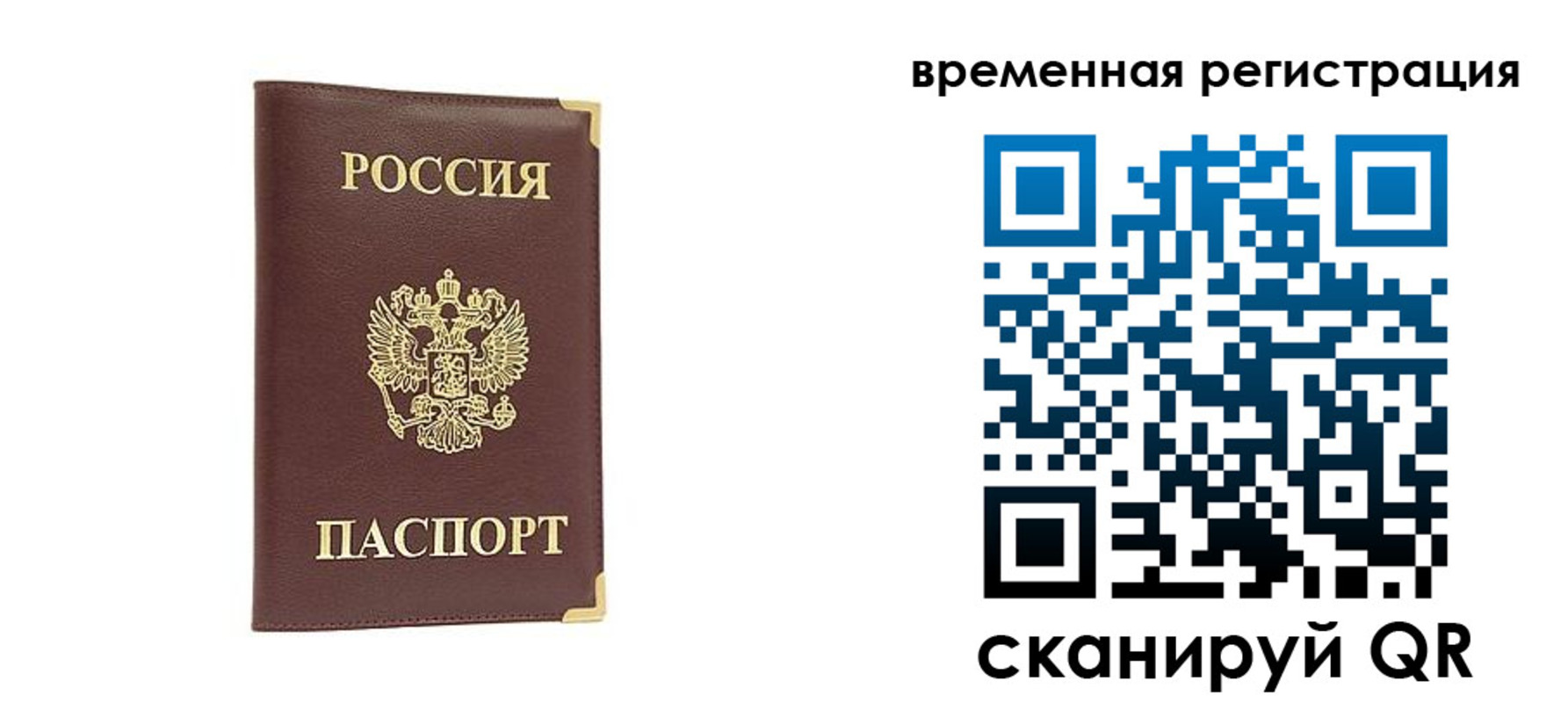 прописка от собственника в Щиграх